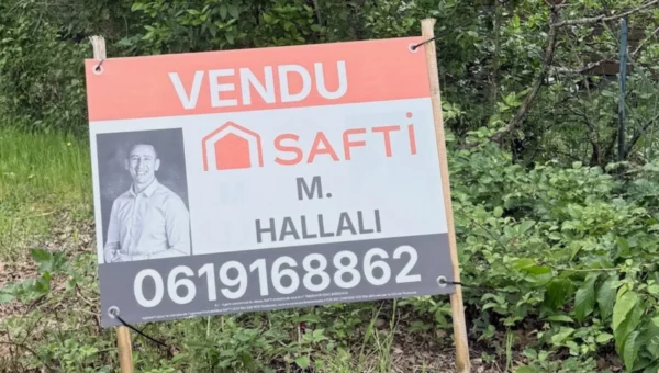 Panneau vendu par Mohamed Hallali